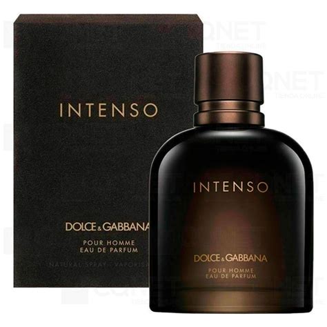perfume dolce gabbana black